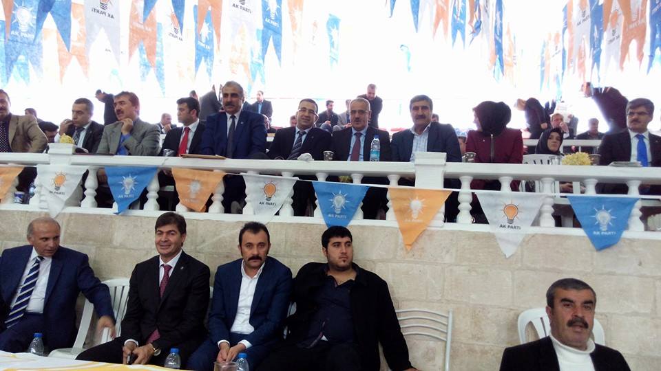 Ak Parti Mardin Temayül Yoklaması