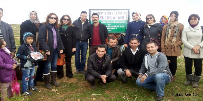 Midyat Fahrettin Önen İlkolu Koruluk Alanı Ağaçlandırma