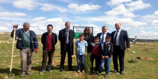 Midyat Fahrettin Önen İlkolu Koruluk Alanı Ağaçlandırma