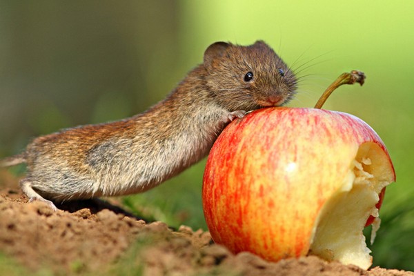 Hayattan ilginç kareler