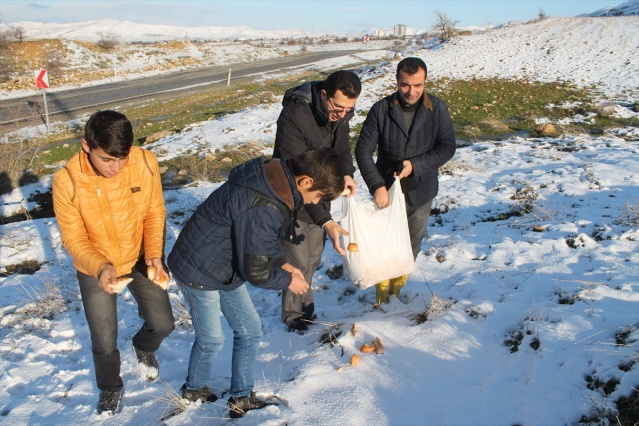 Gercüş Kırkat Göleti
