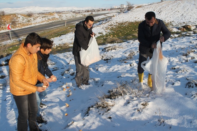 Gercüş Kırkat Göleti