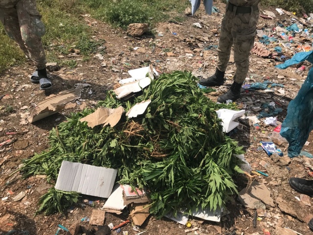 Midyat Uyuşturucu Operasyonu