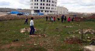 Midyat Fahrettin Önen İlkolu Koruluk Alanı Ağaçlandırma