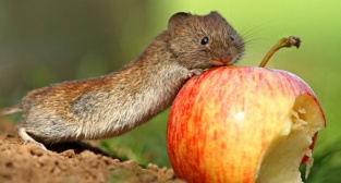 Hayattan ilginç kareler