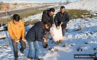 Kırkat Gölet Çevresine Hayvanlar İçin Yem Bırakıldı