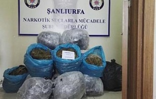 Şanlıurfa'da uyuşturucu operasyonu