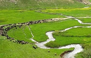 Terörden arındırılan Faraşin Yaylası 