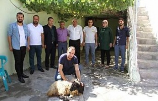 Görevlendirme yapılan belediyeden şehit yakınlarına kurbanlık