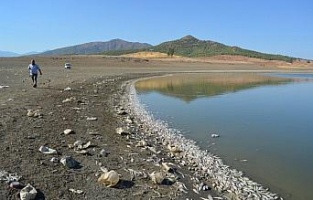 Gaziantep’te balık ölümleri