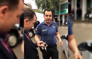 Polis ekipleri kedi yavrusu için seferber oldu