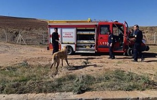 Adıyaman'da kanala düşen köpek kurtarıldı