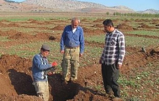 Araban'da antep fıstığı üretiminin artırılması hedefleniyor