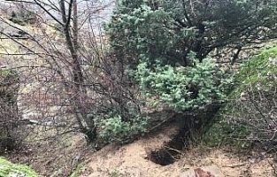 Diyarbakır'da polisi şehit eden teröristin cesedi bulundu