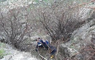 Kayalıkta mahsur alan keçiler kurtarıldı