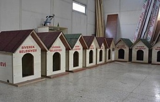 Kedilere soğukta sıcak yuva