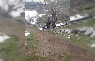 Kurtlar 16 keçiyi telef etti