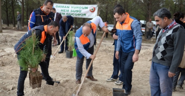 Şanlıurfa ve Kilis'te öğrenciler fidan dikti