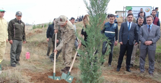 Siirt'te 2 bin fidan dikildi
