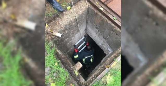 Kuyuya Düşen Köpek Yavrusu Kurtarıldı