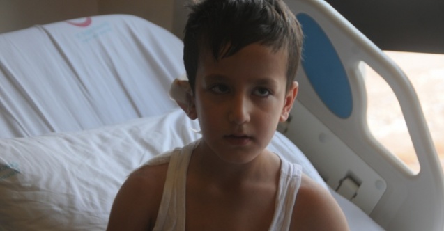 Başıboş Köpeklerin Saldırdığı Çocuk Yaralandı