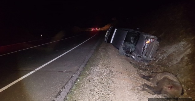 Midyat'ta Ata Çarpan Araçta 3 Kişi Yaralandı